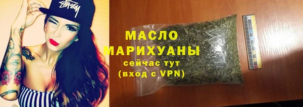 индика Козловка