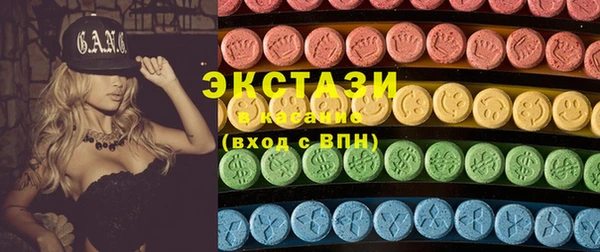 индика Козловка