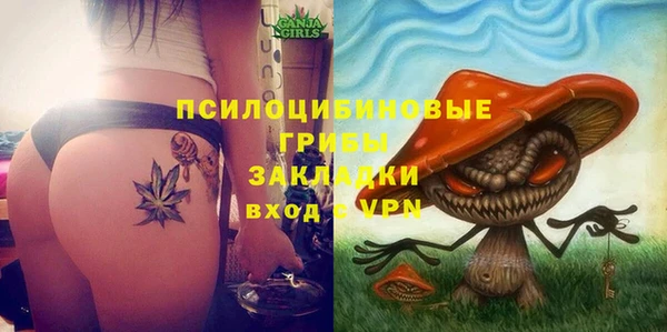 индика Козловка