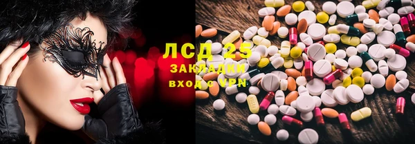 стаф Козельск