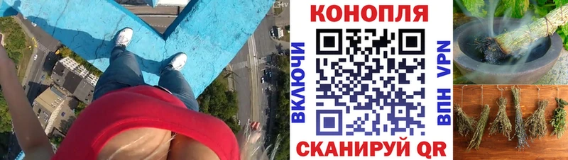 гидра зеркало  Чкаловск  Шишки марихуана сатива 